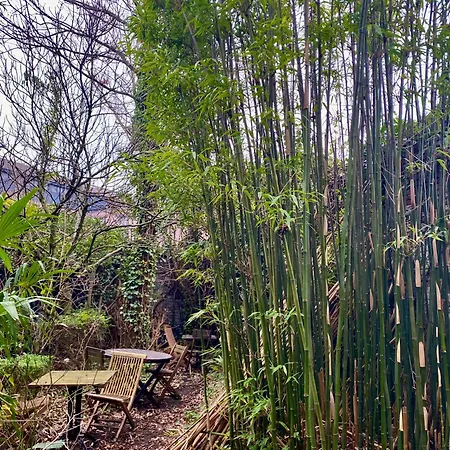 Faja Lobi Γάνδη