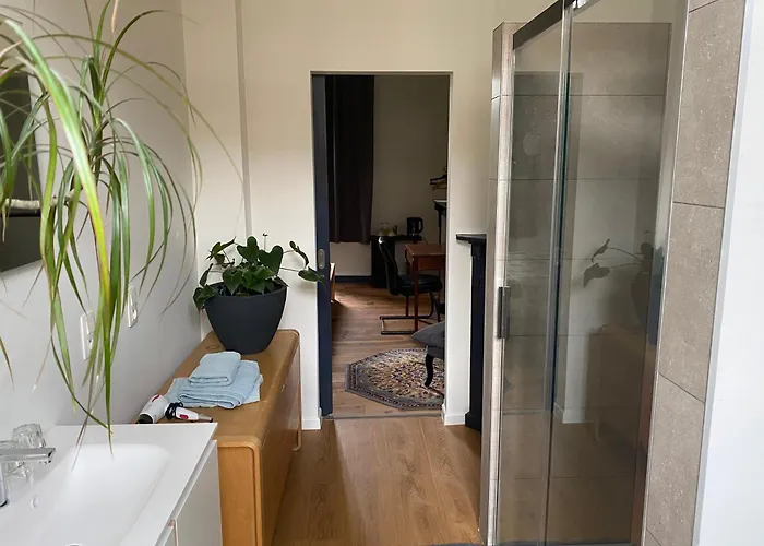 法哈洛比住宿加早餐酒店 4* 根特